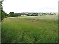Cultivated fields east of the A1065 road in PE32 2BT