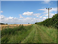 Well-maintained footpath to Osier Plantation in PE32 2DB