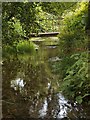Woodland footbridge and stream on northern edge of Wadeford in Wadeford