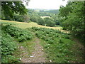 Footpath through fields above the Afon Elwy in LL22 9RP