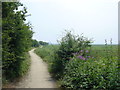 Footpath to Denhall Lane, Ness in CH64 4BB