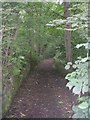 Footpath - Dean Brook Road in HD9 3UQ