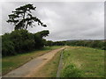 NCN route 23, at Merstone, IoW in PO38 3NA
