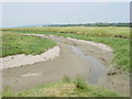 A Channel in the Dee Marshes in CH64 0SY