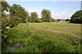 Meadowland beside the River Ray at Islip in OX5 2TD