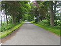 Road heading to Haughs of Kinnaird in DD9 6UA
