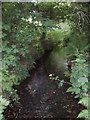 Stream near Clowance wood in TR14 0NW