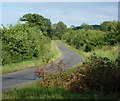 Country lane towards Little Gringley in East Retford East Ward