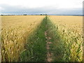 Footpath through the wheat in DN15 9NH