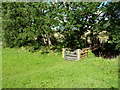 Footbridge and new gate at Stableford in WV6 7WB