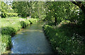 2010 : River Wylye, between Bishopstrow and Boreham in BA12 9FJ