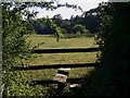 Stile into field on Allenmoor Lane in RG27 9BU