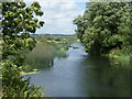 River Stour looking towards Iford Weir in BH23 2QR