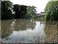 Village Pond at Seething, Norfolk in Seething