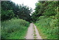 Footpath, Cringleford Wood in NR4 7RW