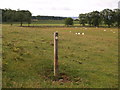 Footpath marker in field near Aydon Castle in NE45 5PL