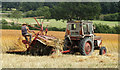 2010 : Cutting wheat for thatching in SN10 5QS