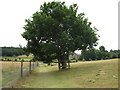 Footpath with view of the Catholic Apostolic Church Albury in GU5 9BW