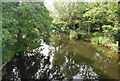 River Wensum from Hellesdon Bridge in NR5 0DB