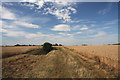 Footpath to Hickford Hill in Belchamp St. Paul