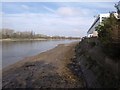 Thames at Craven Cottage in SW15 1HS