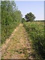Footpath, Horning in NR12 8PU