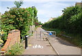Footpath and cycleway heading south off Bish Barnebee Way in NR5 9HU