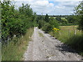 Road and footpath to Larch Spinney and The Old Laundry in TN22 5SX