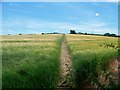 Path through the crop in OX15 5BU