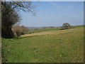Field near Fox's Cross in EX17 4JU