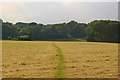 Footpath across stubble field in TN16 2JA
