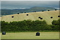 Fields of silage bales in SY15 6HR