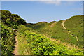 A footpath heading west through Combesgate Valley in EX34 7AH