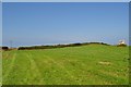 A stone in the field where a footpath which leads from Sandy Lane to Black Cloud Hill in EX34 7AH