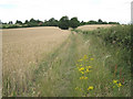Footpath up to Wolverton in Wolverton