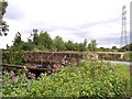 Causey Bridge in Burtonwood & Winwick Ward