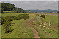 Estuary footpath along the River Wye in NP16 5SS