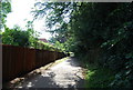 Path off Buckingham Rd in NR4 7EF
