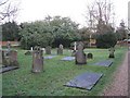 Churchyard - St Andrew's in RG4 6UR