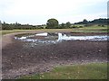 Sturtmoor pond after a dry spring and early summer in SO51 6ER