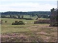 Plaitford Common, looking down over Sturtmoor Pond in SO51 6ER