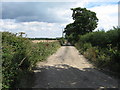 Track near Stanswood Farm in SO45 1XR