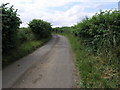 High Hedge Lane in S66 7SL