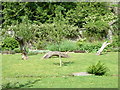 Ty Glyn Walled Garden - The National Garden Scheme in SA48 8DE