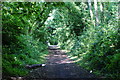 Sunshine Trail, Isle of Wight in PO37 7PS