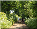 2010 : Walking with dog on Pitway Lane in BS39 6TX