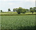 2010 : Wheatfield off Pitway Lane in BS39 6TX