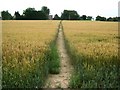 Footpath to Smeeth Church in TN25 6ST