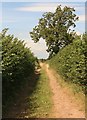 Farm track towards the fields in NG23 5SF