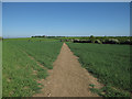 Footpath to Fleam Dyke in CB1 6EY